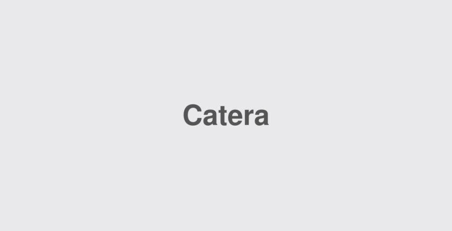 Mastering the Art of Catering: Tips from the Pros